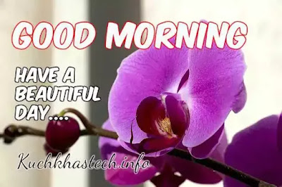 Good Morning Images Good Morning Images