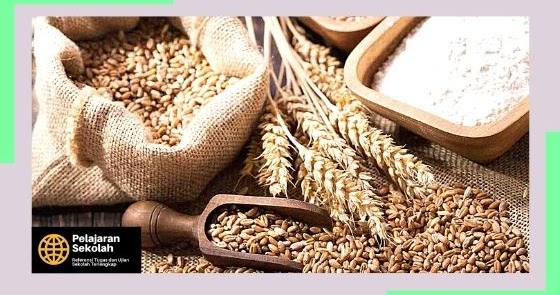 Dalil Zakat Fitrah Dalam Al Quran Dan Hadits Lengkap - Pelajaran Sekolah