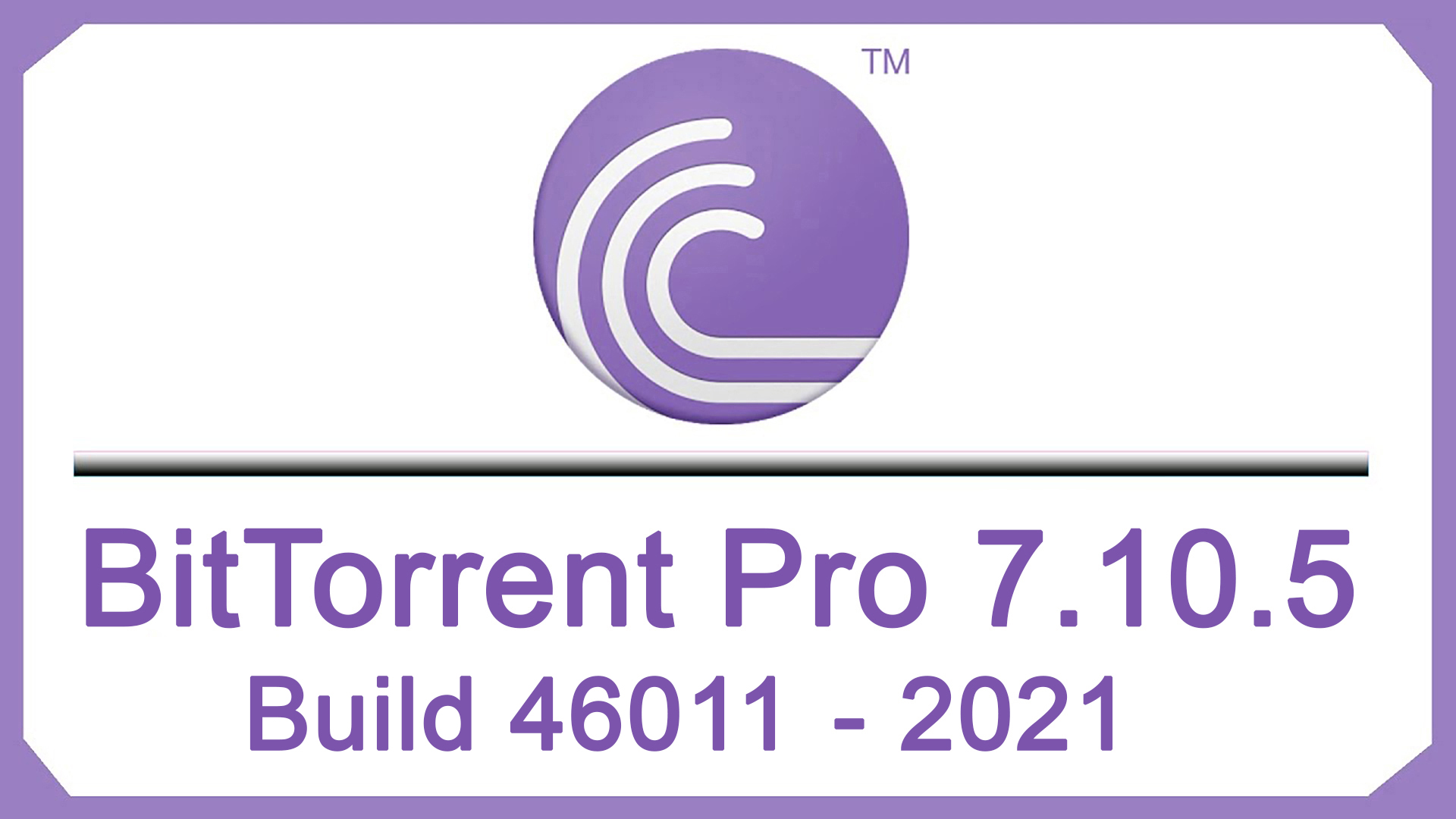 bittorrent pro 7.10.5 build 46011