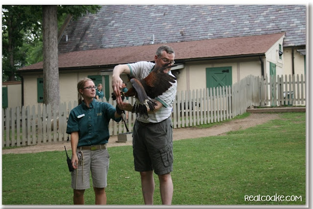 Ideas for natural fun for the whole family including a day at a Busch Gardens from www.realcoake.com Busch Gardens