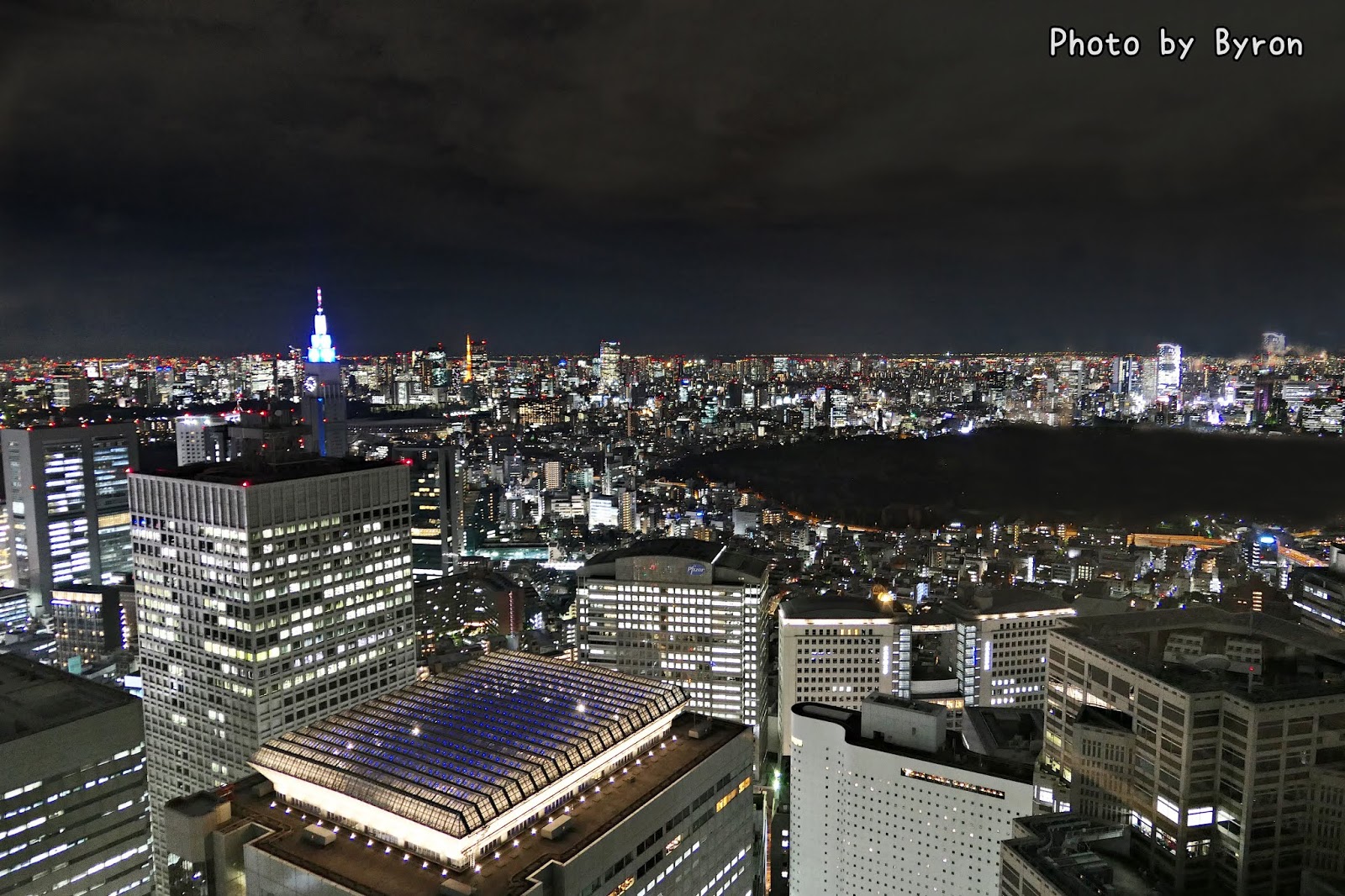 東京都廳 夜景