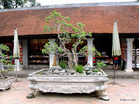 TEMPLO DE LA LITERATURA, HANOI. VIETNAM