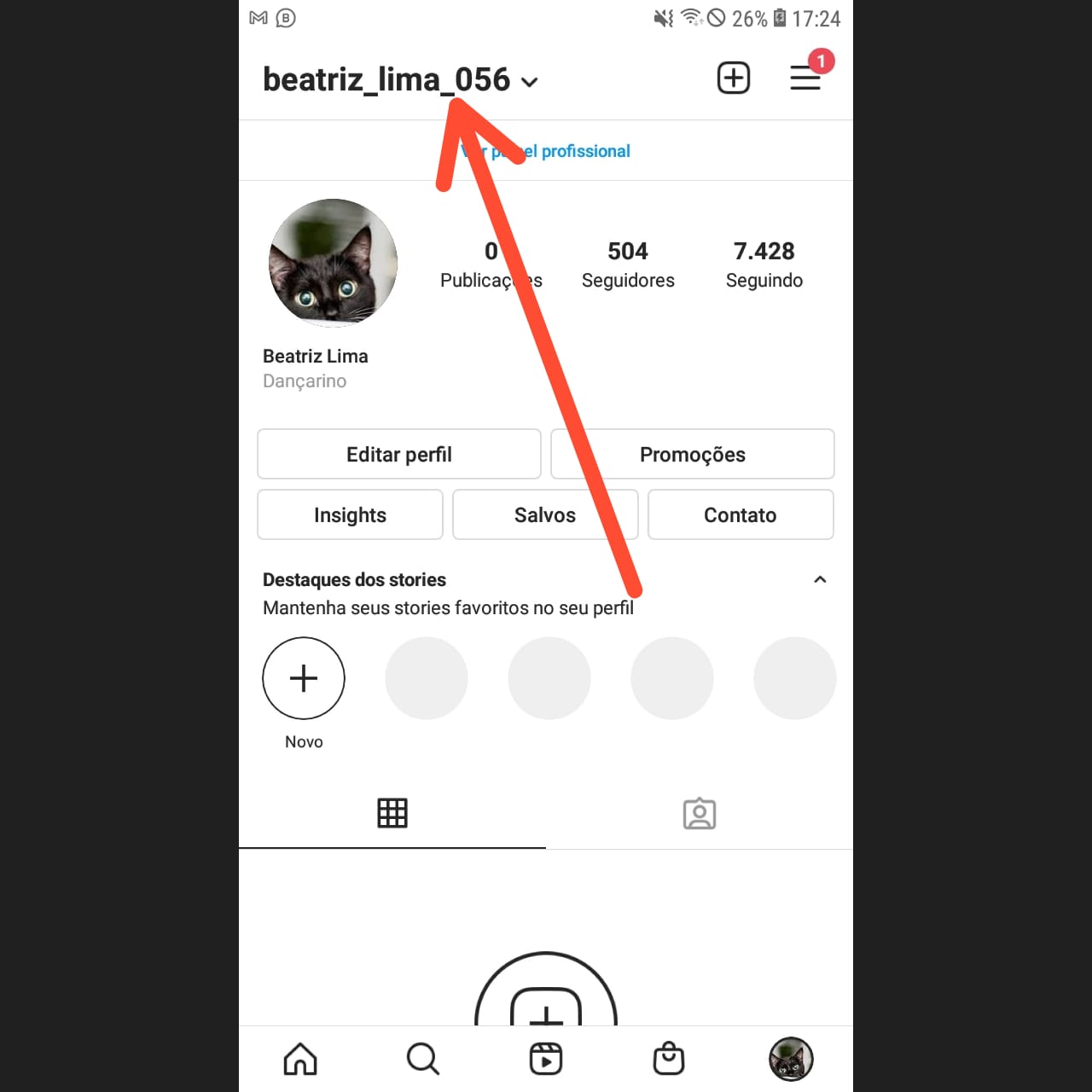 COMO CRIAR VÁRIAS CONTAS NO INSTAGRAM