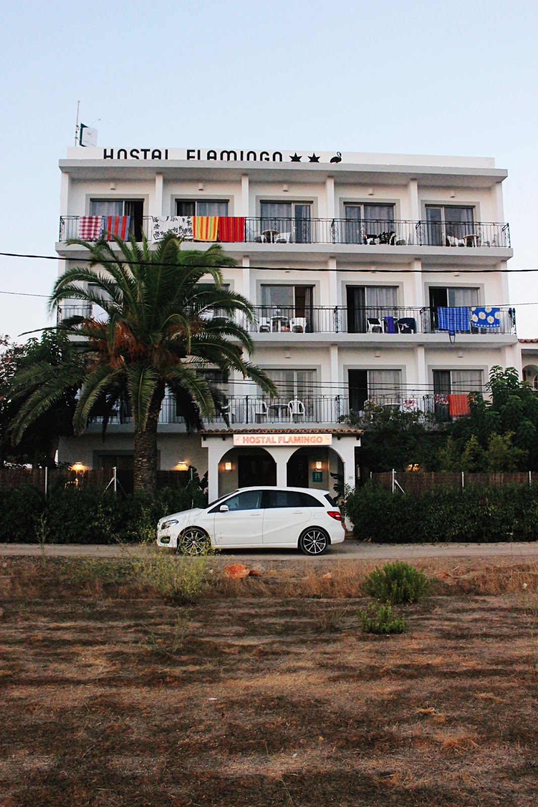 Discovering With Enterprise RentACar Fox & Feather