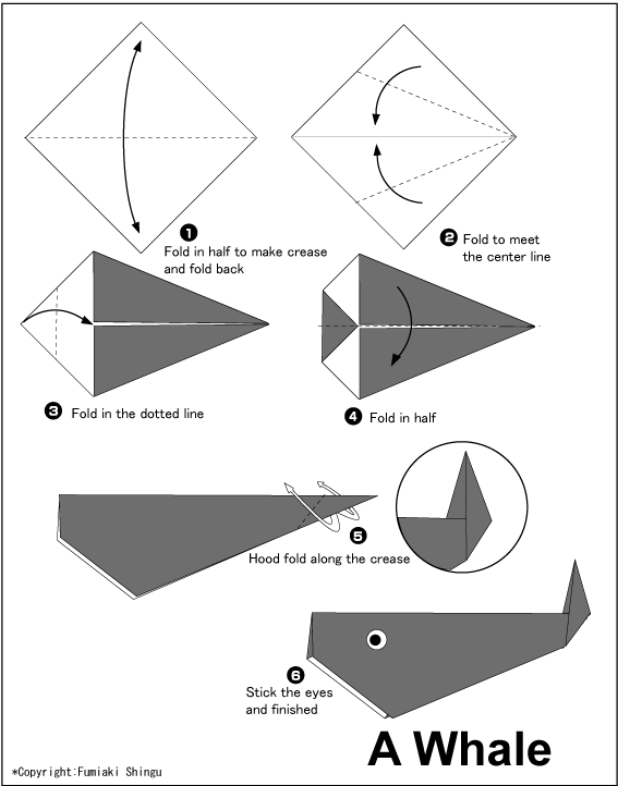තල්මහකු  හදමු (Origami Whale) - Your Choice Way