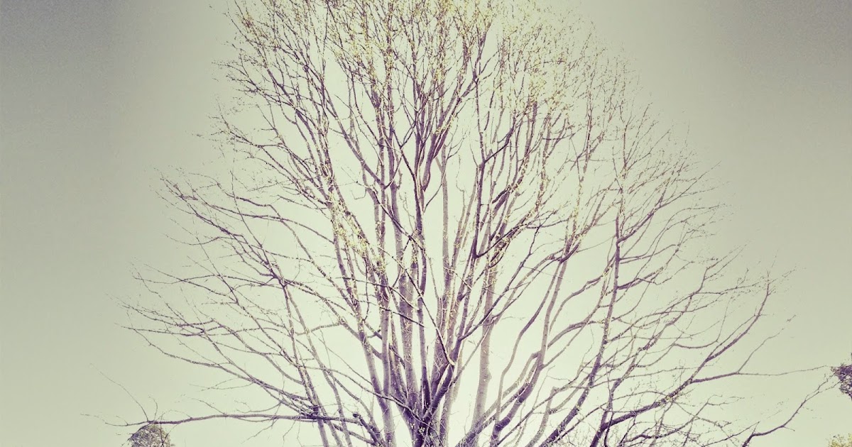 Short essay on good manners for class 4 picture