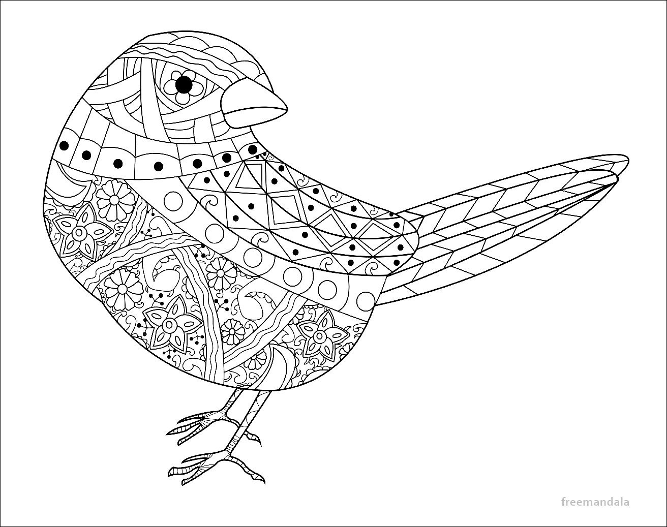 Download Coloring book pdf download