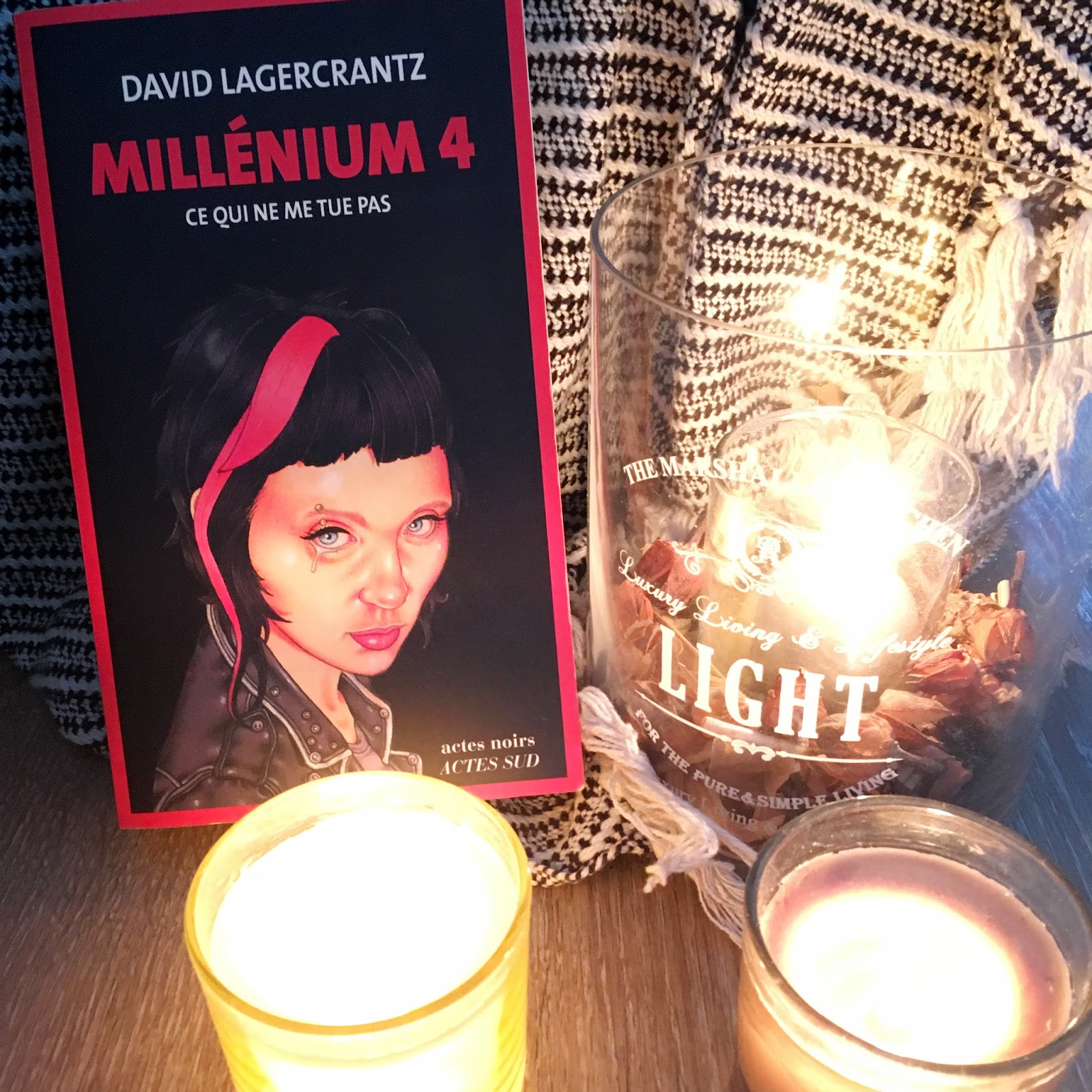 Millénium 4 Ce qui ne me tue pas • David Lagercrantz Mally’s Books