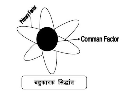 थार्नडाइक का बहुकार सिद्धांत (Thorndike's Multifactor theory, P.M.A)