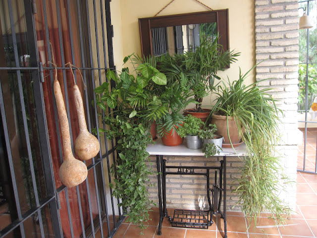 * ENTRE JARAS *: Un rinconcito (de reciclado)