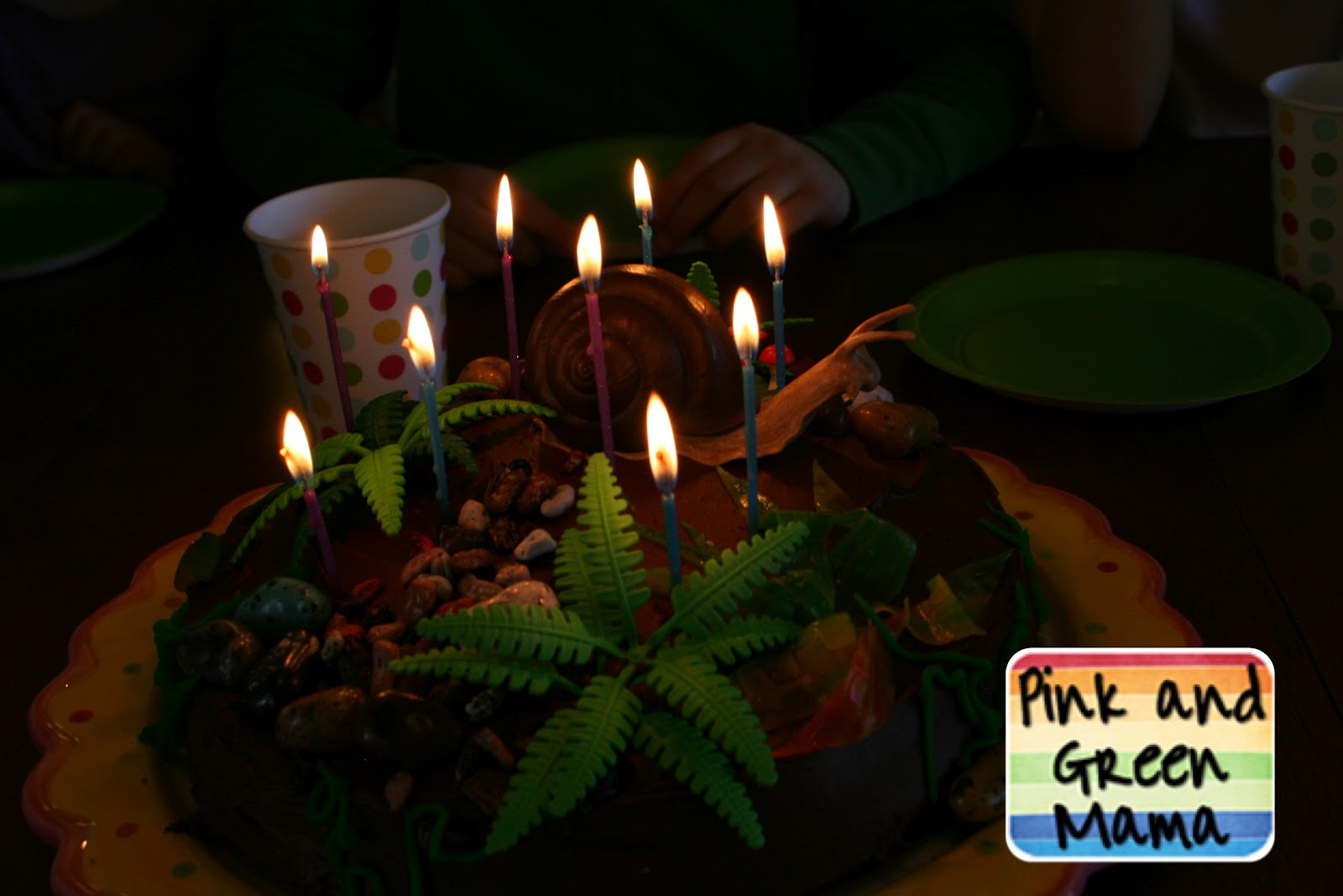 Pink and Green Mama * Terrarium Themed Birthday Cake!