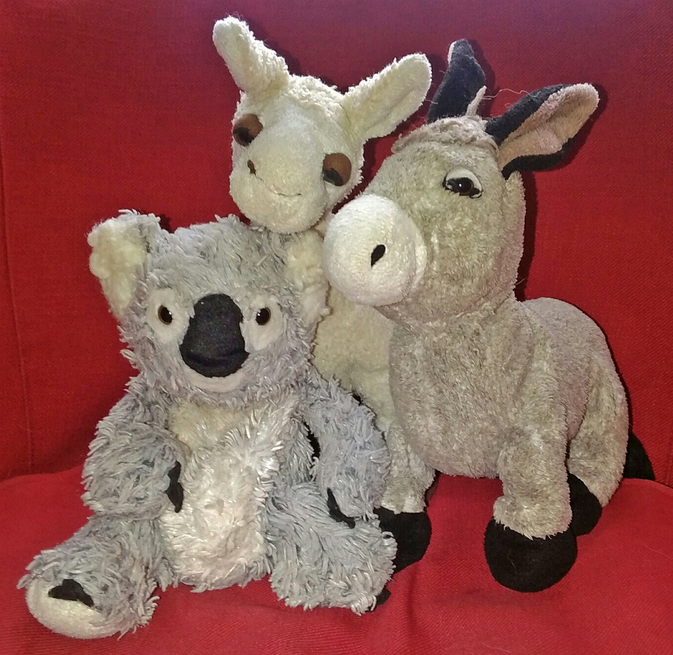 Looking Beyond the Blonde On the Subject of TOO MANY STUFFED ANIMALS