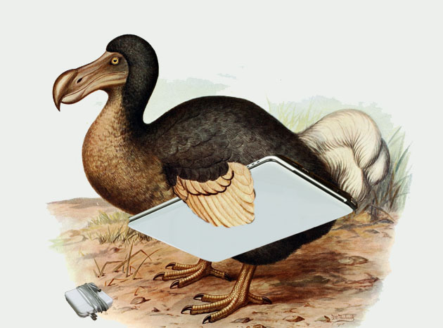 The Disaffected Lib: There's a Reason the Dodo Bird Went Extinct.