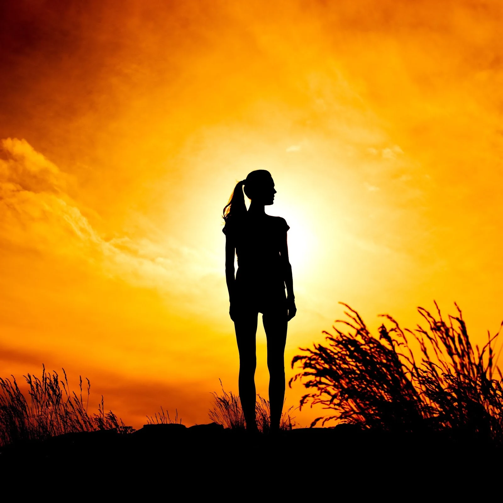 Captivating Silhouette Schwarzkopf Landscape Digital Art