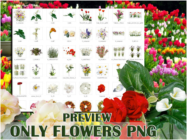 flowers png collcetion