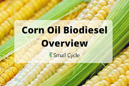 Corn Oil Biodiesel Overview