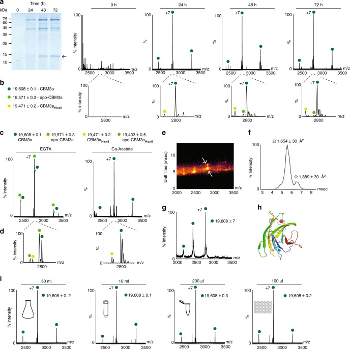 Rapid characterization of secreted proteins by native mass