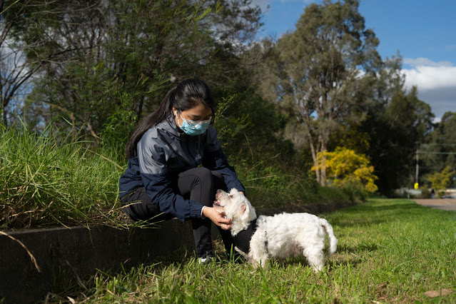 Pets  helped people cope with covid-19, but perhaps due to dog walks (pictured)