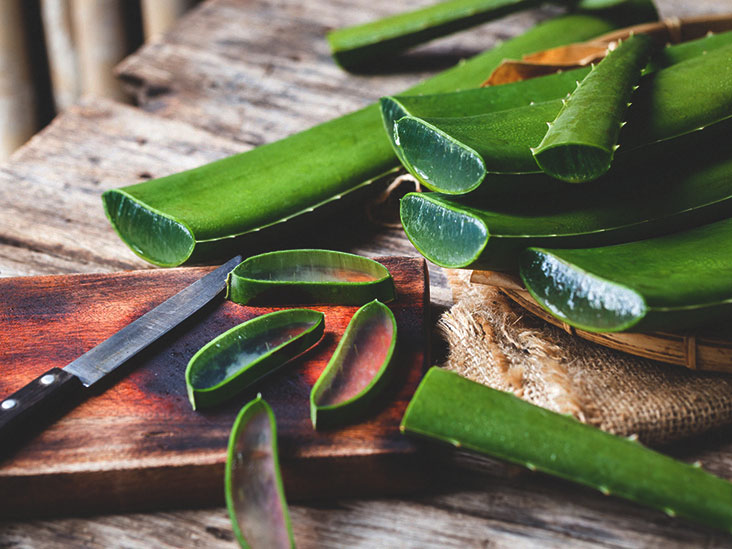 Tips/Petua : Cara Membuat Aloe Vera Gel Homemade