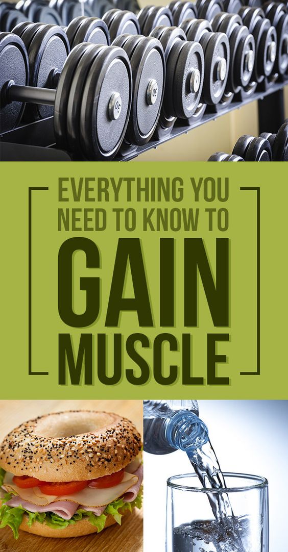 Here’s Everything You Need to Know to Actually Put on Muscle Browse