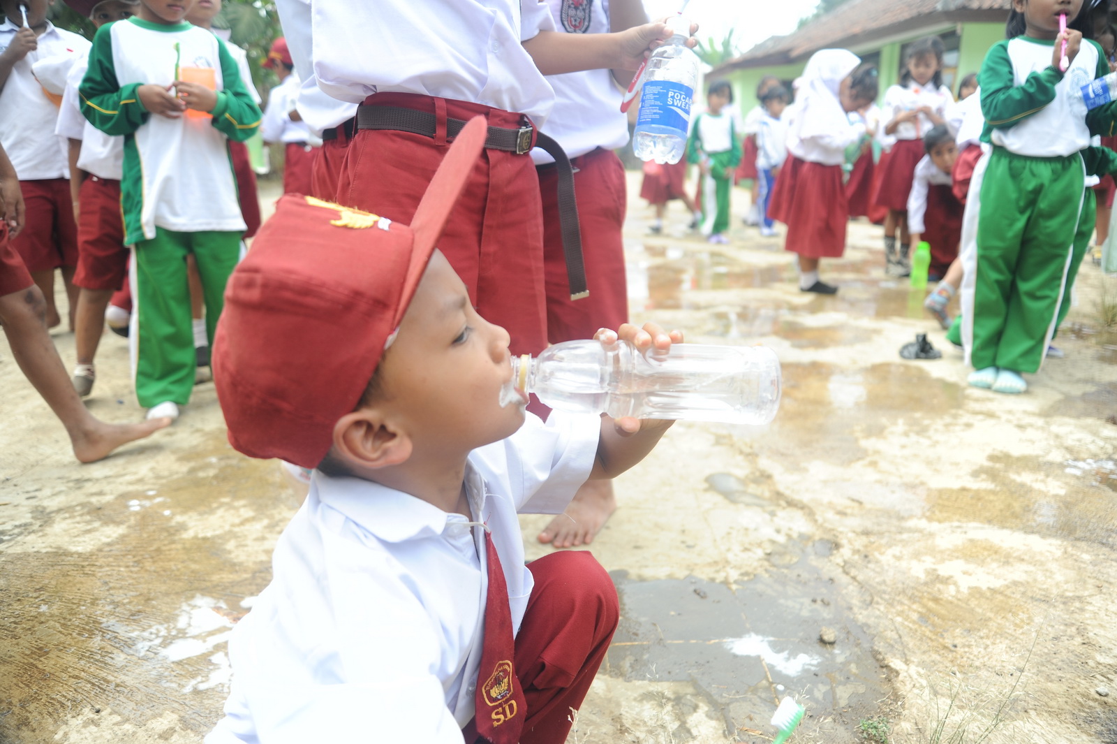 fdfdf-fsydistrubusiindo