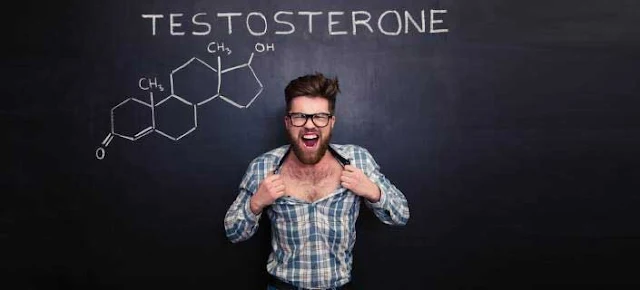كل ما تعرفه عن التستوستيرون
