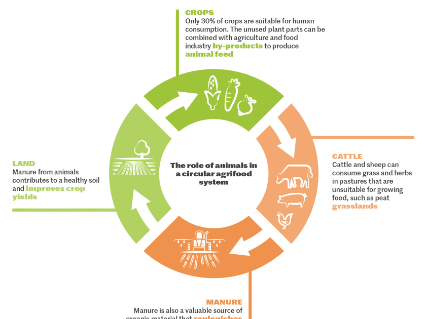 Agribusiness : The Circular Economy in Agriculture and Sustainable Development Goals.