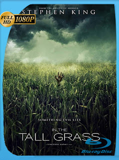 En la Hierba Alta (2019) HD [1080p] Latino [Google Drive] Panchirulo