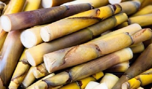 Yuk Di Share !! Begini Cara Ampuh Mengobati K3ncing Batu