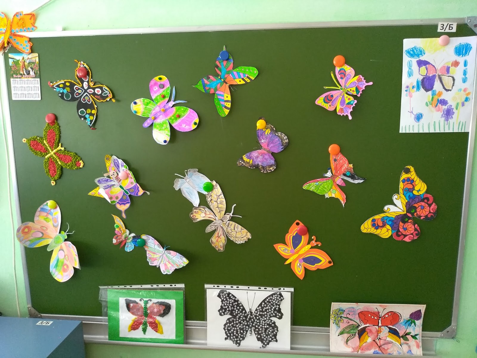 соревнования бабочка. музей тропических бабочек в санкт-петербурге. конкурс бабочек. тропический рай музей бабочек спб. фигуры в природе.