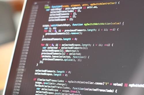 programmer programmer