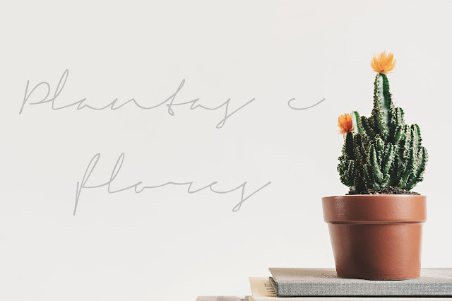 #VamosFalarDeDecoração: Decore com plantas e flores #VamosFalarDeDecoração: Decore com plantas e flores