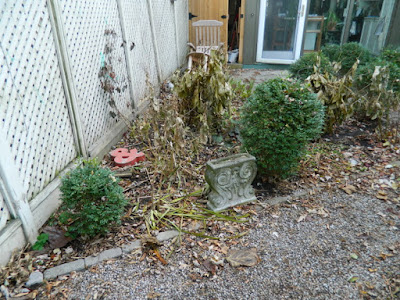Cabbagetown Backyard Fall Cleanup Before by Paul Jung Gardening Services Inc.--a Toronto Organic Gardening Company Cabbagetown Backyard Fall Cleanup Before by Paul Jung Gardening Services Inc.--a Toronto Organic Gardening Company