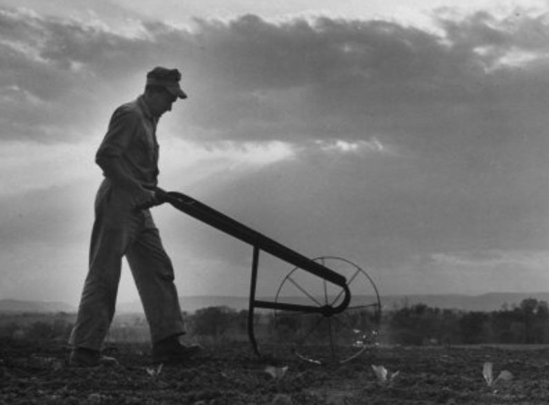 Eaglewings Ministries Journal The Cost of Following Jesus