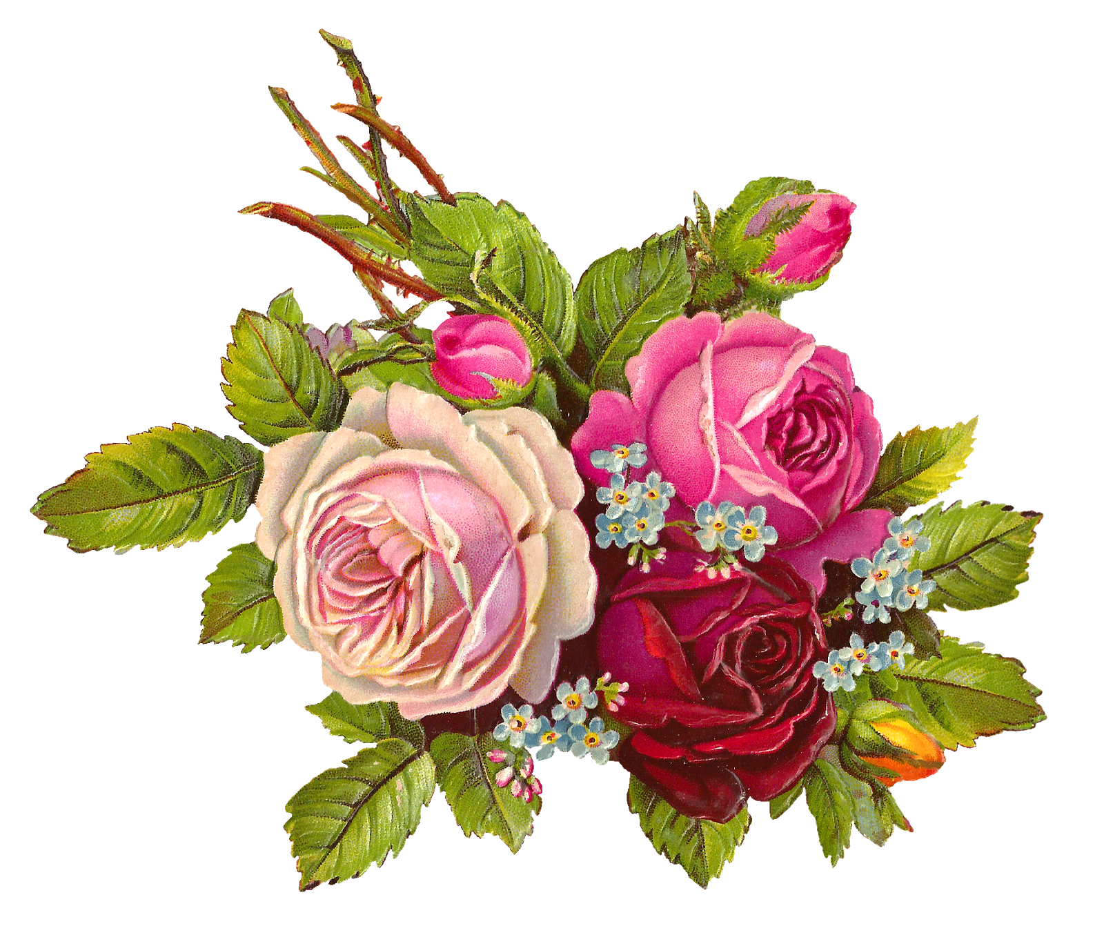 Rose Bouquet Clip Art