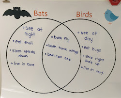 contrast compare bats birds diagram venn grade different similar showed were