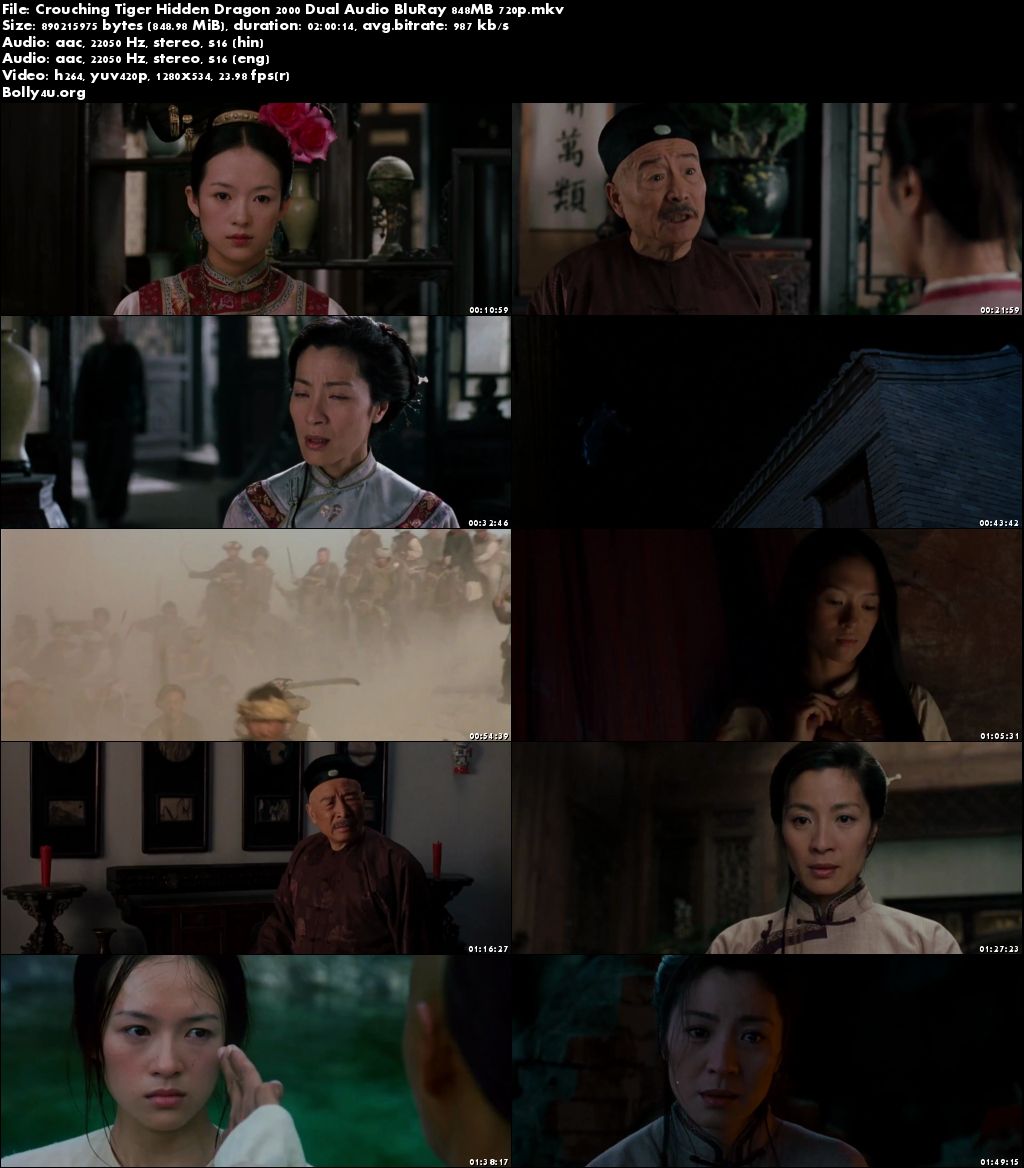 Crouching Tiger Hidden Dragon 2000 BRRip 350Mb Hindi Dual Audio 480p Download