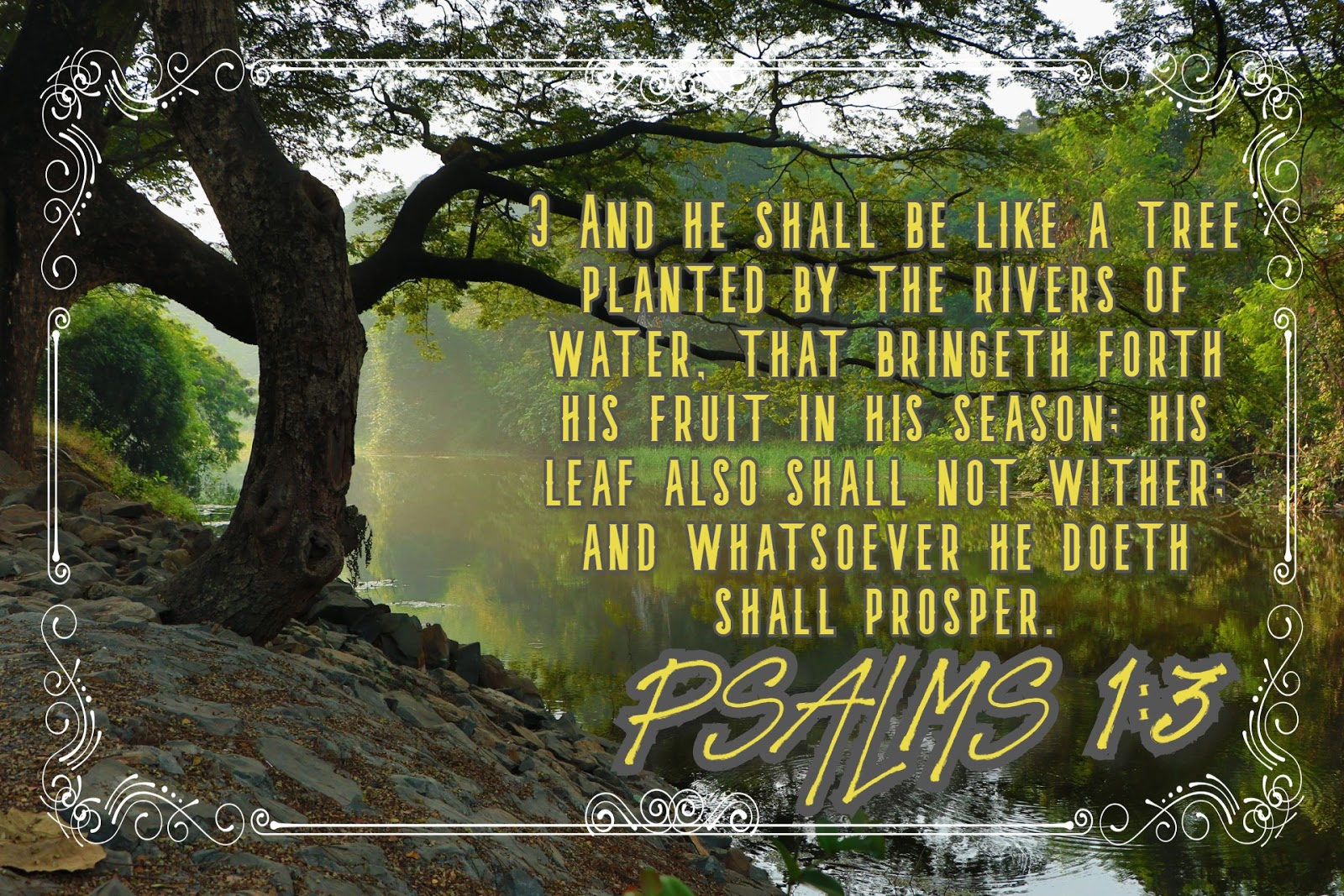 PSALMS CHAPTER 1 In Images Free Download psalms-chapter-1-in-images-free-download