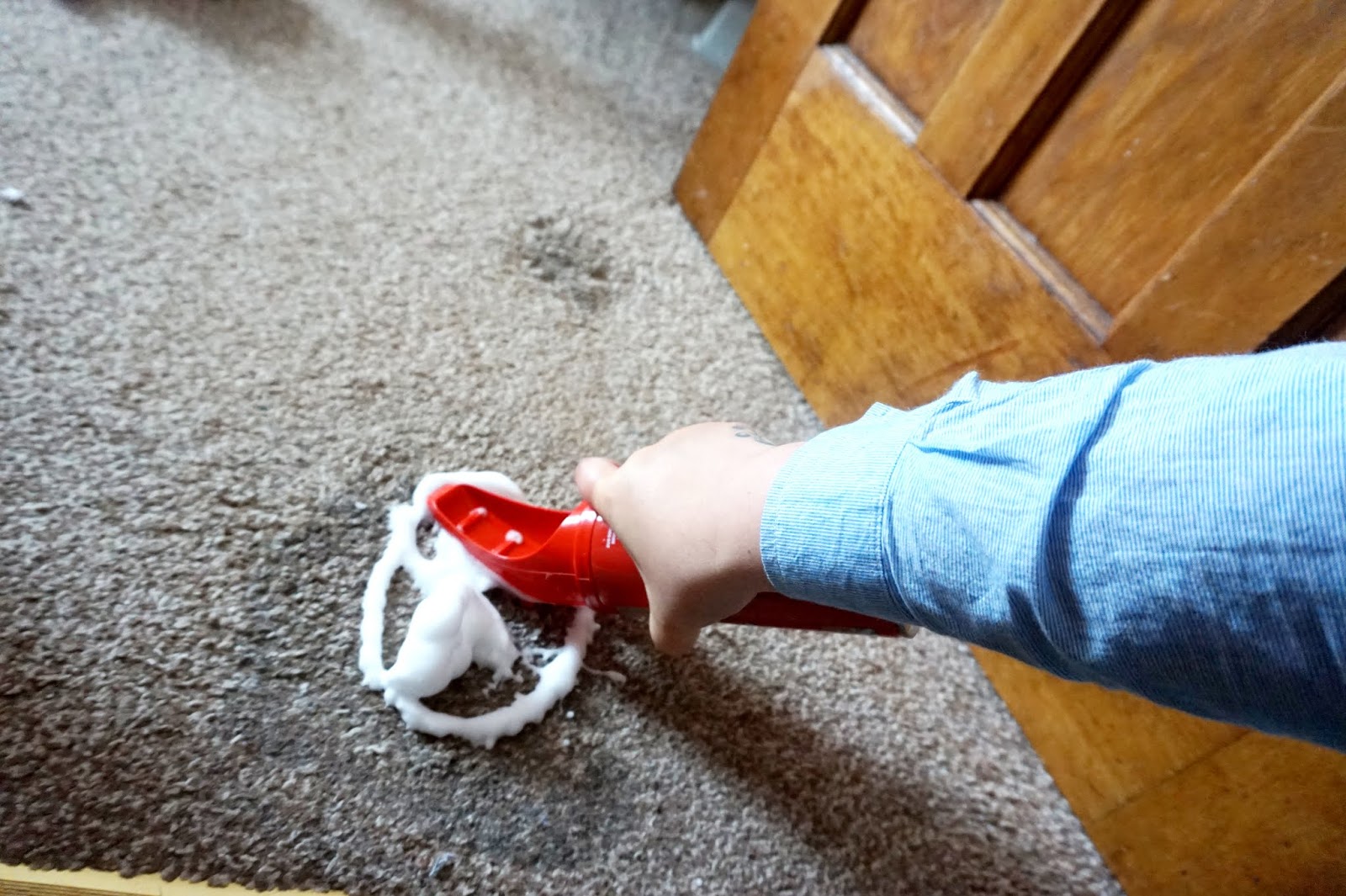 Keeping our carpets clean with Rug Doctor Solutions Beth Owen