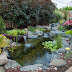 Thiết kế sân vườn đẹp có hồ cá koi trong sân vườn