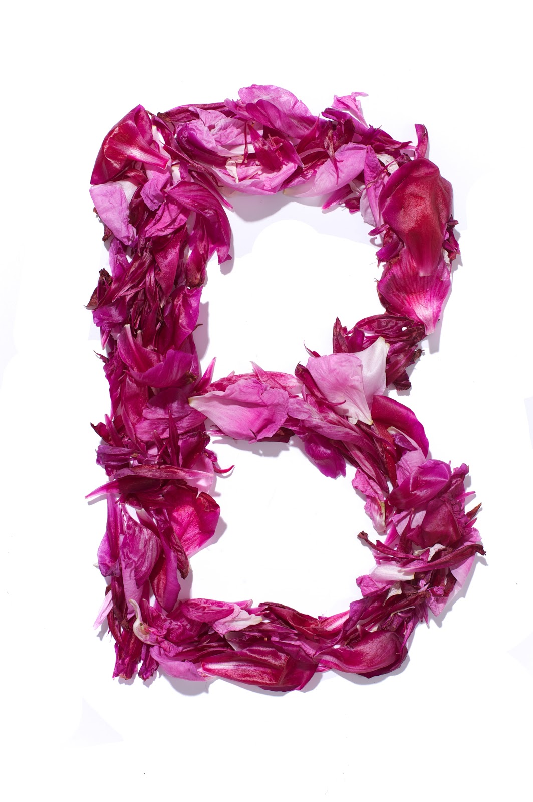 http://1.bp.blogspot.com/-VRJ22qcYpuQ/ThMJQQ1_WZI/AAAAAAAAJvM/jjZS7mKJYzA/s1600/Flower_Alphabet_-_B.jpg