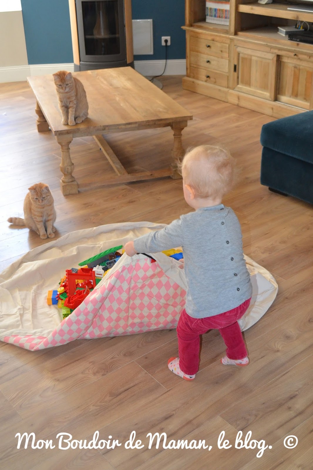 Blog sur le quotidien d'une maman mais pas que: Test du tapis de rangement/jeu | Play And Go