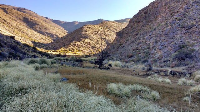 Vega, campamento, tontal, trekking san juan