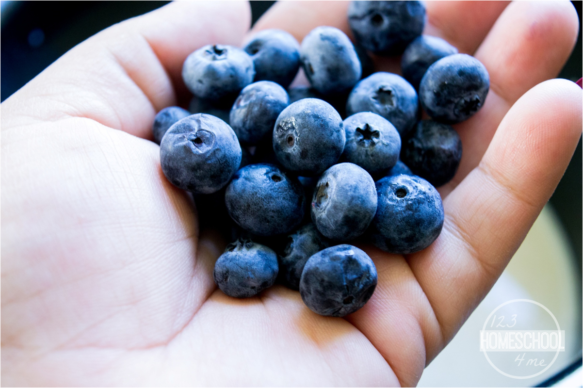 Blueberry Crockpot Oatmeal