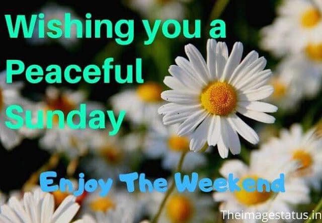Happy Sunday Morning Images for Whatsapp
