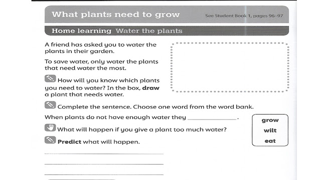 GRADE ONE : SCIENCE