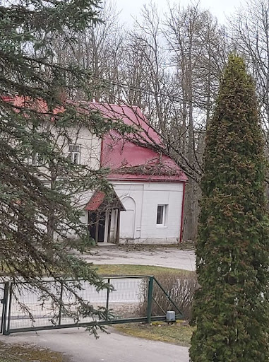 Uz baznīcas jumta nogāzts koks