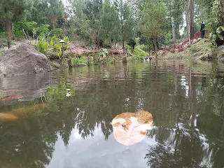 Watu Prahu Taman Spiritual Jambewangi Sempu