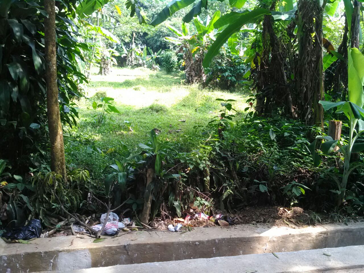 Dijual Tanah di Sagalaherang Subang - ALBA PROPERTI | Agen Property