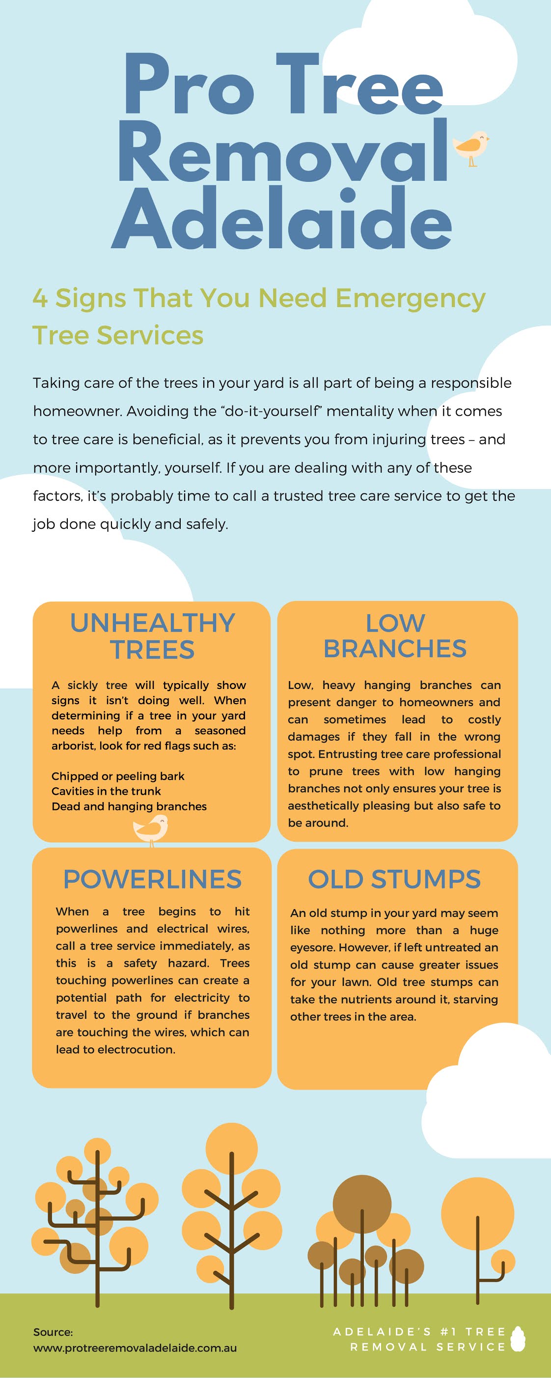 Pro Tree Removal Adelaide [Infographic]